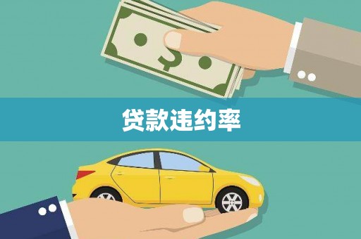 泗阳贷款违约率