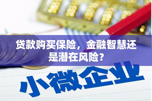 泗阳贷款购买保险，金融智慧还是潜在风险？