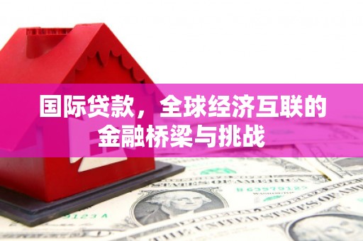 泗阳国际贷款，全球经济互联的金融桥梁与挑战