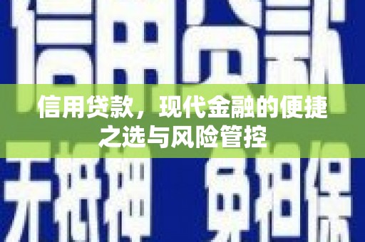 泗阳信用贷款，现代金融的便捷之选与风险管控