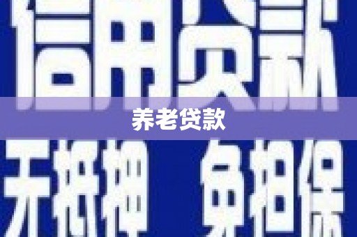 泗阳养老贷款