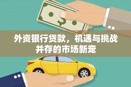 泗阳外资银行贷款，机遇与挑战并存的市场新宠