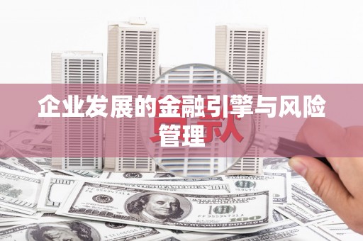 泗阳企业发展的金融引擎与风险管理