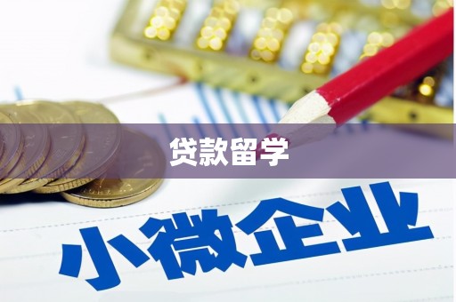泗阳贷款留学