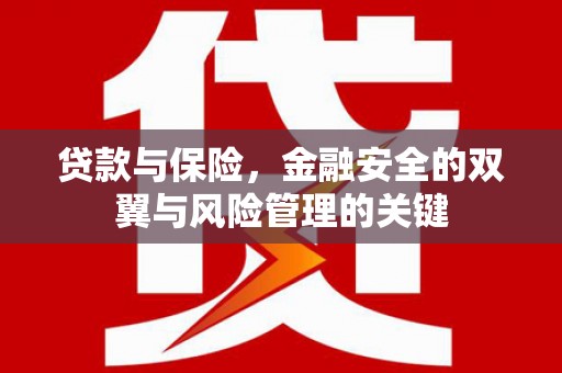泗阳贷款与保险，金融安全的双翼与风险管理的关键