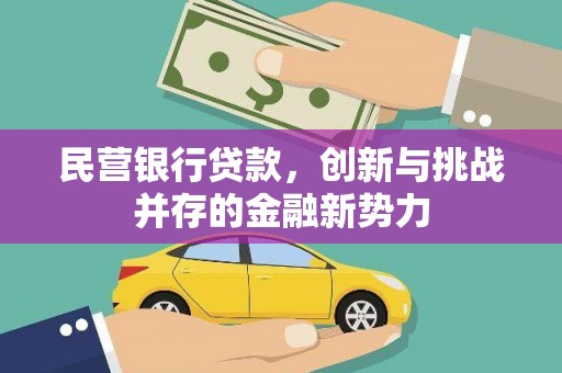 泗阳民营银行贷款，创新与挑战并存的金融新势力