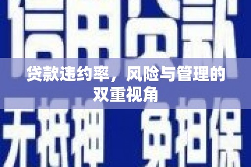 泗阳贷款违约率，风险与管理的双重视角