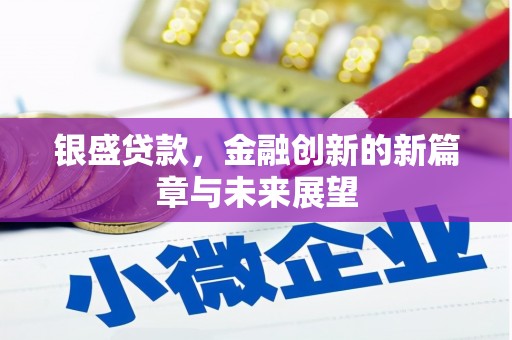 泗阳银盛贷款，金融创新的新篇章与未来展望