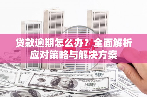 泗阳贷款逾期怎么办？全面解析应对策略与解决方案