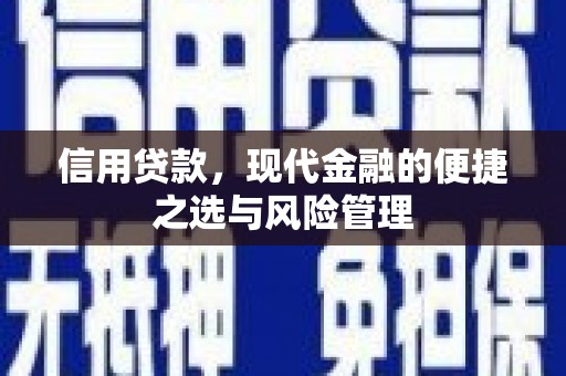 泗阳信用贷款，现代金融的便捷之选与风险管理