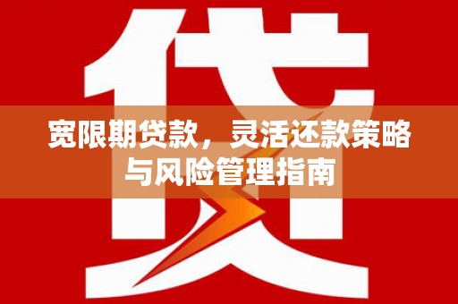 泗阳宽限期贷款，灵活还款策略与风险管理指南