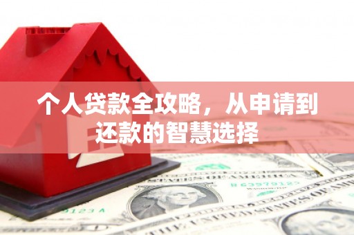 泗阳个人贷款全攻略，从申请到还款的智慧选择