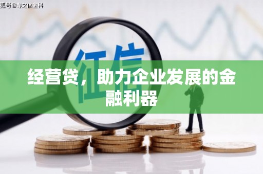 泗阳经营贷，助力企业发展的金融利器