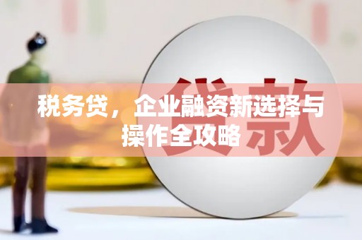 泗阳税务贷，企业融资新选择与操作全攻略