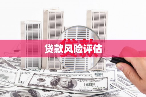 泗阳贷款风险评估