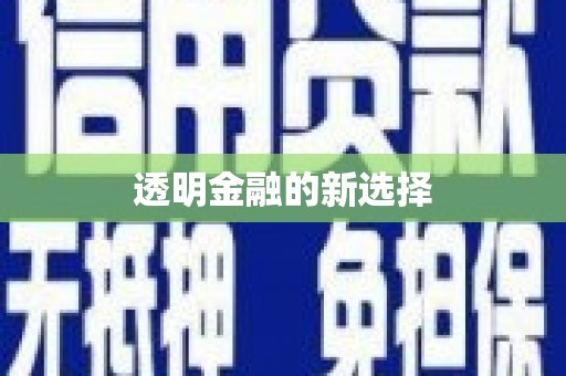 泗阳透明金融的新选择