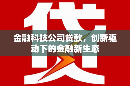 泗阳金融科技公司贷款，创新驱动下的金融新生态