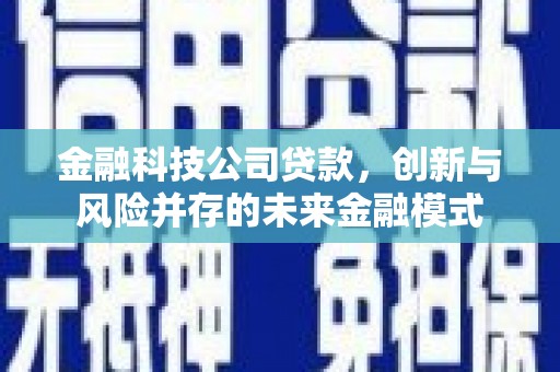 泗阳金融科技公司贷款，创新与风险并存的未来金融模式