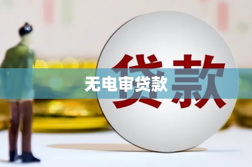 泗阳无电审贷款