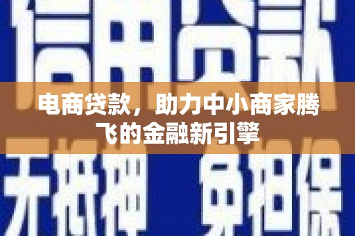 泗阳电商贷款，助力中小商家腾飞的金融新引擎