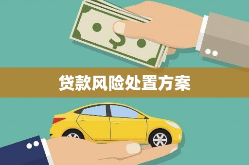 泗阳贷款风险处置方案