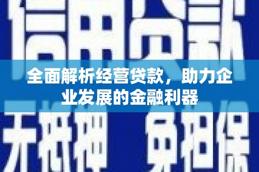 泗阳全面解析经营贷款，助力企业发展的金融利器