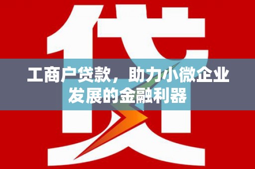 泗阳工商户贷款，助力小微企业发展的金融利器