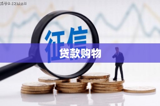 泗阳贷款购物