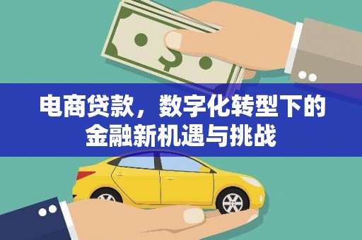 泗阳电商贷款，数字化转型下的金融新机遇与挑战
