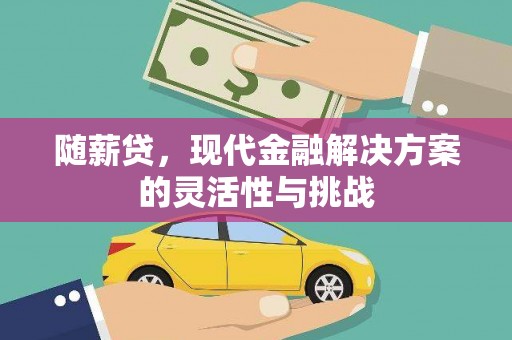 泗阳随薪贷，现代金融解决方案的灵活性与挑战