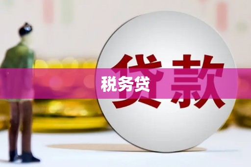 泗阳税务贷