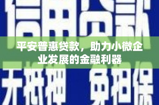 泗阳平安普惠贷款，助力小微企业发展的金融利器