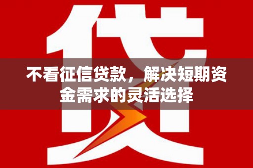 泗阳不看征信贷款，解决短期资金需求的灵活选择