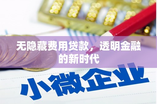 泗阳无隐藏费用贷款，透明金融的新时代