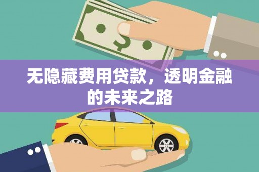 泗阳无隐藏费用贷款，透明金融的未来之路