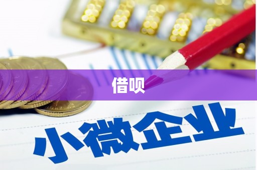 泗阳借呗