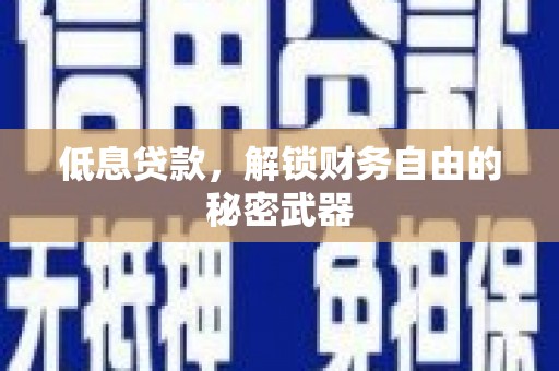 泗阳低息贷款，解锁财务自由的秘密武器