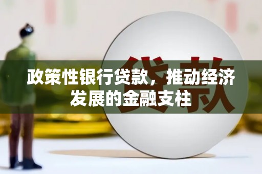 泗阳政策性银行贷款，推动经济发展的金融支柱