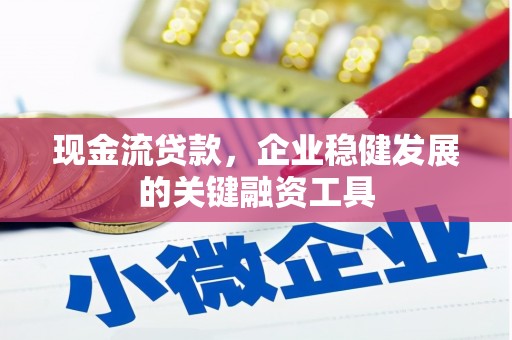 泗阳现金流贷款，企业稳健发展的关键融资工具