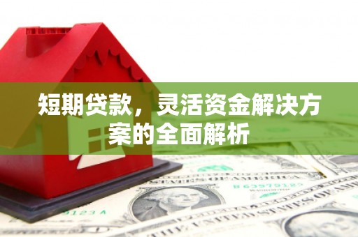 泗阳短期贷款，灵活资金解决方案的全面解析