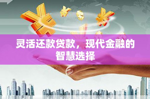 泗阳灵活还款贷款，现代金融的智慧选择