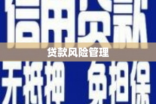 泗阳贷款风险管理