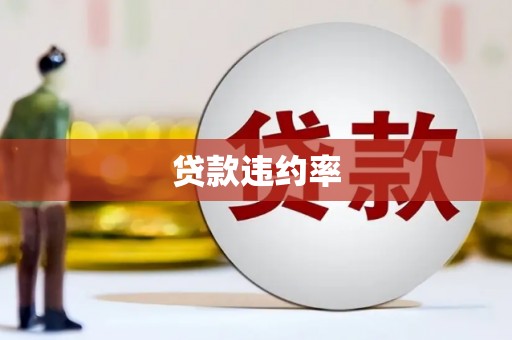 泗阳贷款违约率