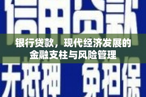 泗阳银行贷款，现代经济发展的金融支柱与风险管理