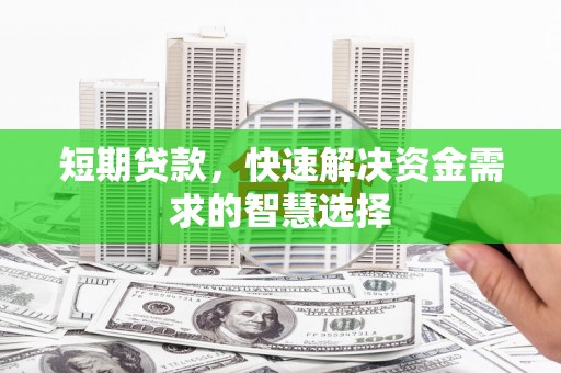 泗阳短期贷款，快速解决资金需求的智慧选择