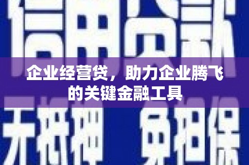 泗阳企业经营贷，助力企业腾飞的关键金融工具