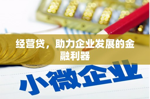 泗阳经营贷，助力企业发展的金融利器