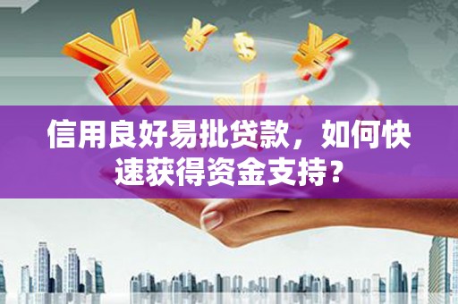 泗阳信用良好易批贷款，如何快速获得资金支持？
