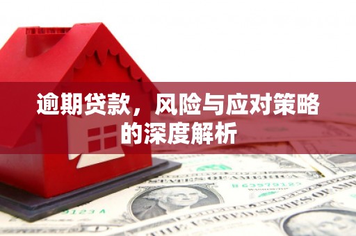 泗阳逾期贷款，风险与应对策略的深度解析