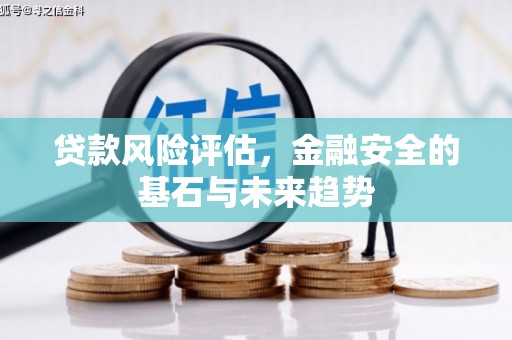 泗阳贷款风险评估，金融安全的基石与未来趋势